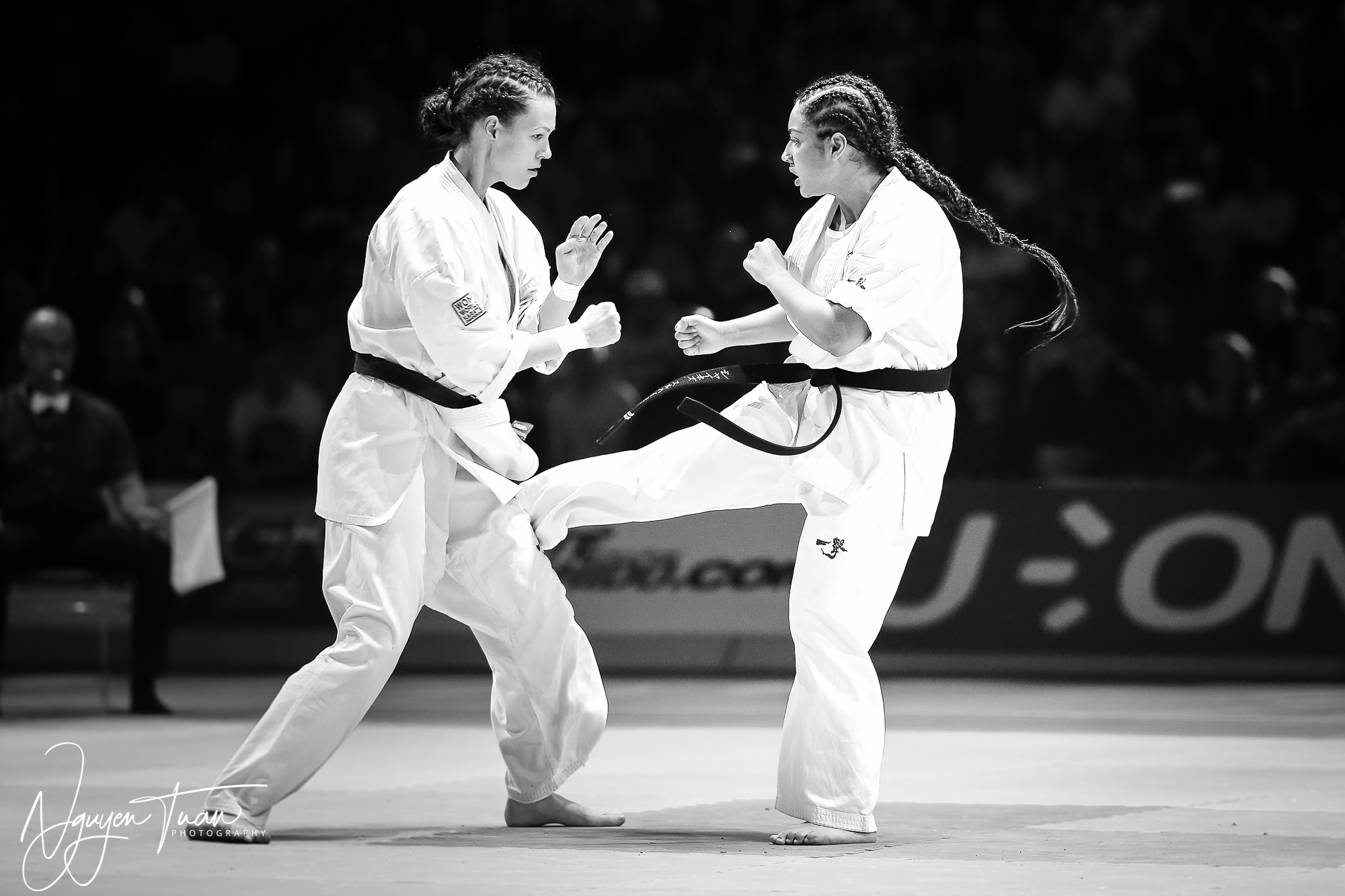 20190324 Festival des Arts Martiaux 5913